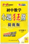 2020年初中數(shù)學(xué)小題狂做七年級下冊蘇科版提優(yōu)版