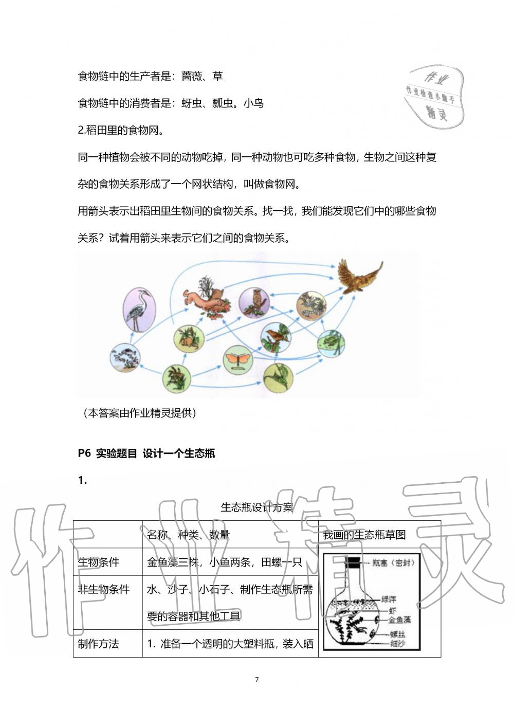 2019年科學(xué)學(xué)生活動(dòng)手冊(cè)五年級(jí)上冊(cè)教科版 第7頁