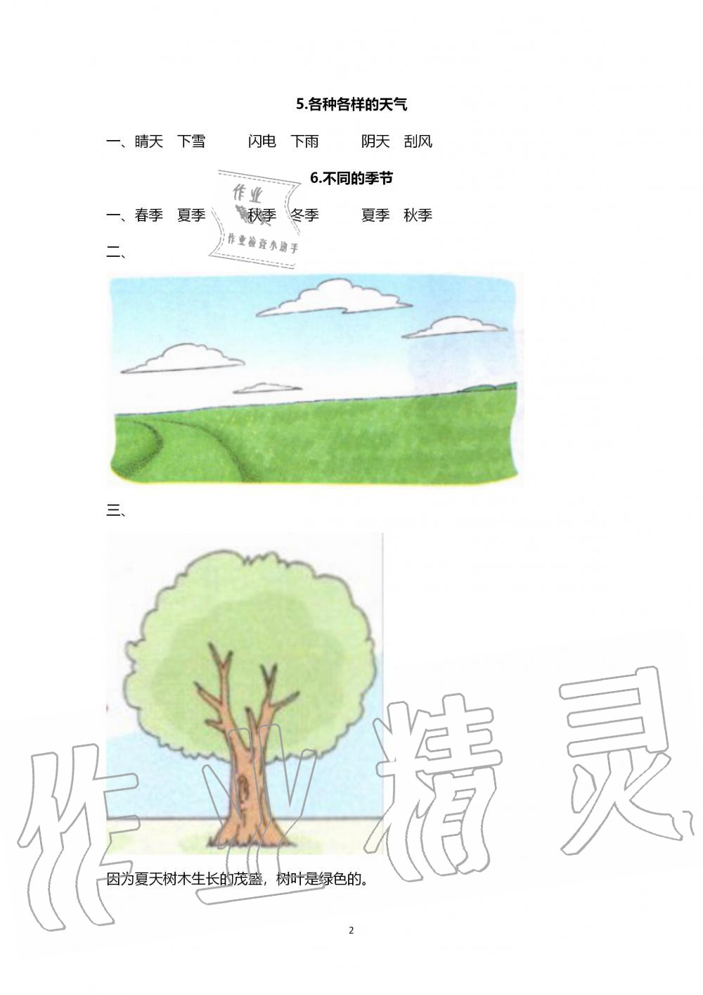 2019年新思維伴你學二年級科學上冊教科版 第2頁