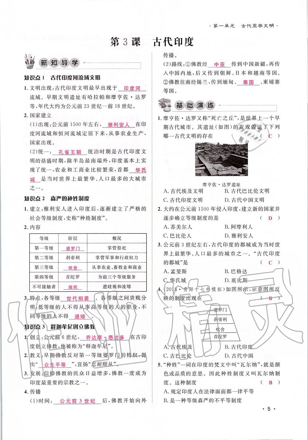 2019年导学与演练九年级历史全一册人教版贵阳专版 第5页