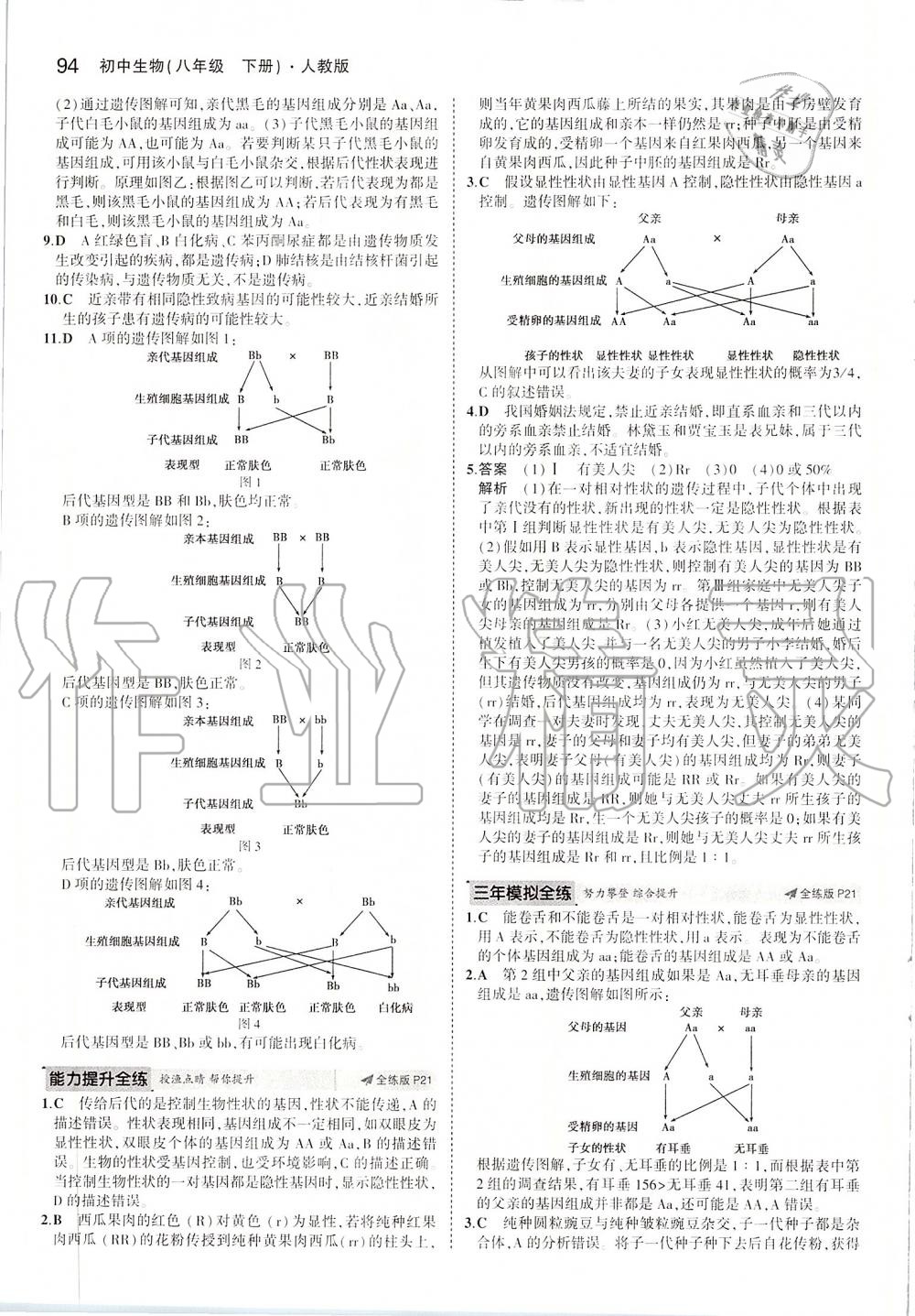 2020年5年中考3年模擬初中生物八年級下冊人教版 第8頁