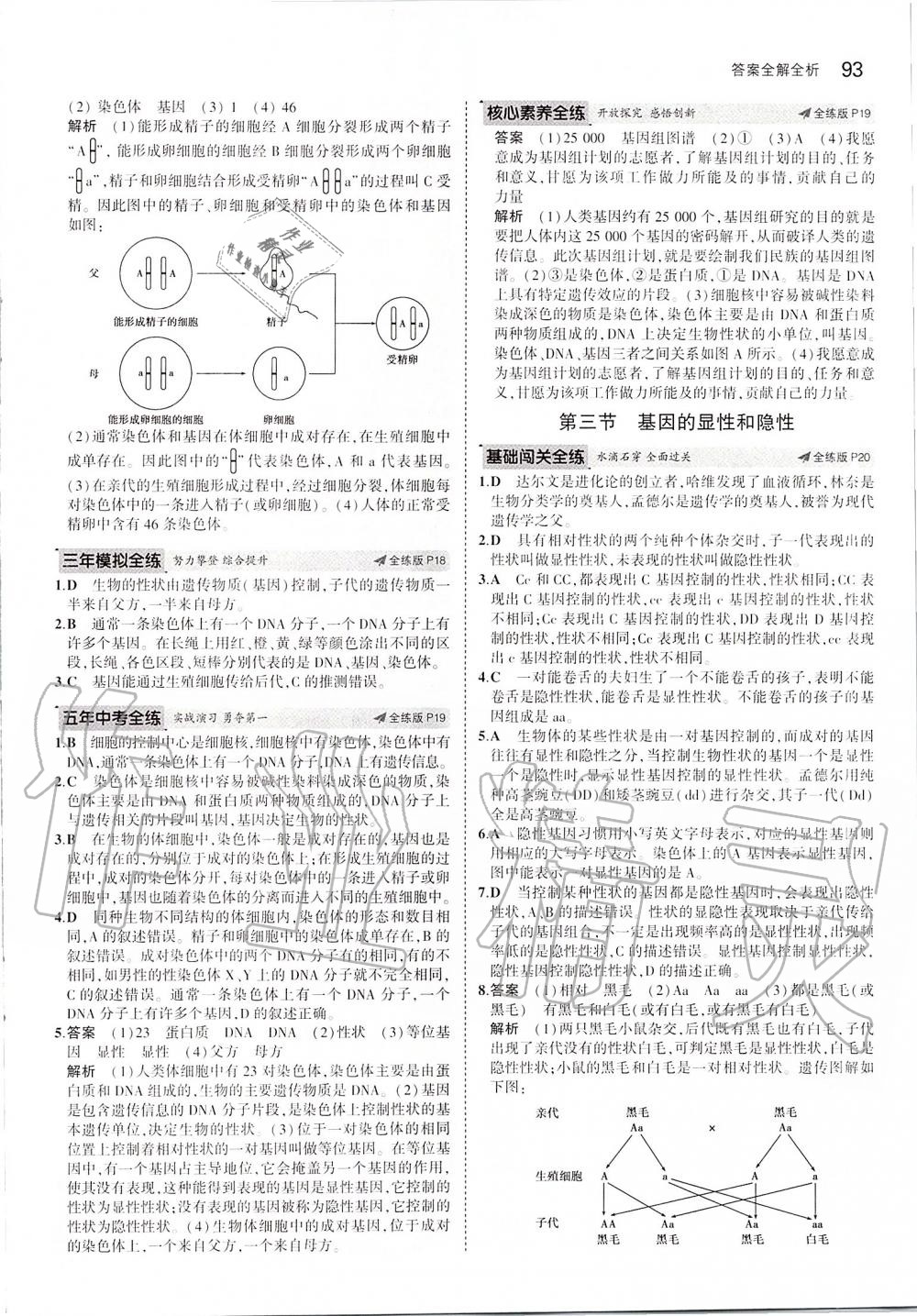 2020年5年中考3年模擬初中生物八年級下冊人教版 第7頁