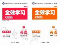 2019年全效學(xué)習(xí)九年級英語全一冊人教版精華版