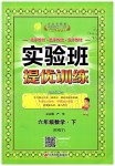 2020年實驗班提優(yōu)訓(xùn)練六年級數(shù)學(xué)下冊人教版