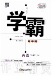 2020年經(jīng)綸學(xué)典學(xué)霸題中題八年級(jí)英語下冊人教版