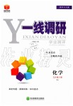 2020年一線調(diào)研學(xué)業(yè)測評九年級化學(xué)下冊人教版