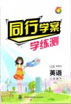 2020年同行學(xué)案學(xué)練測八年級英語下冊人教版