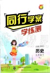 2020年同行學案學練測九年級歷史下冊人教版