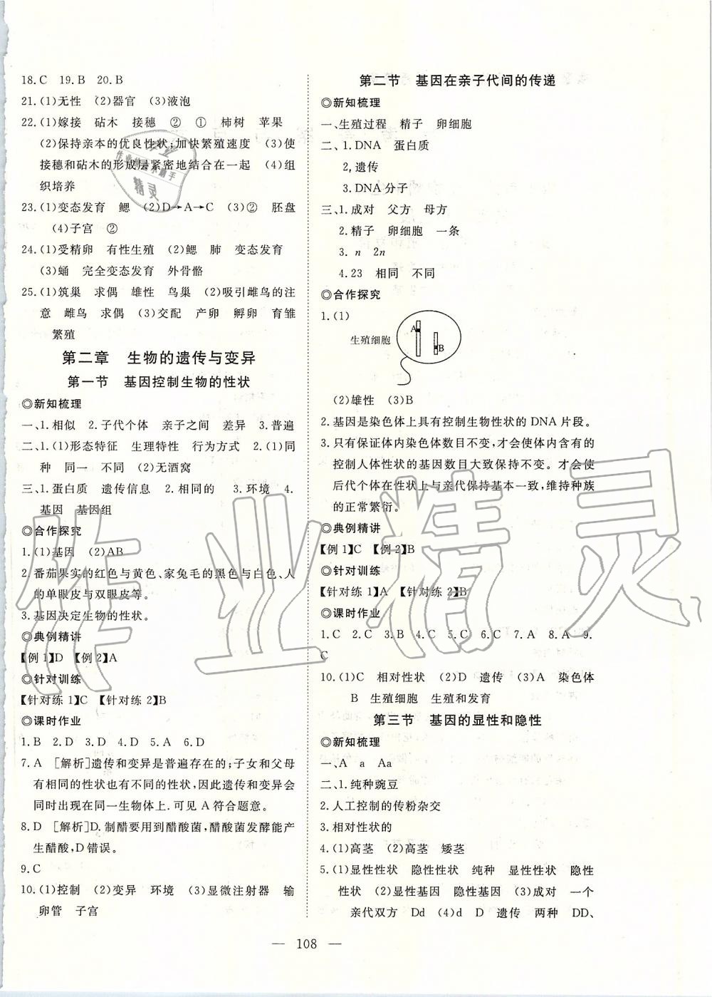 2020年351高效課堂導(dǎo)學(xué)案八年級生物下冊人教版 第4頁