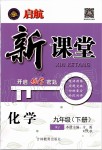 2020年啟航新課堂九年級(jí)化學(xué)下冊(cè)人教版