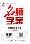 2020年名師學(xué)案九年級英語下冊人教版