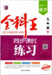 2020年全科王同步課時練習(xí)九年級化學(xué)下冊人教版