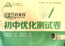 2020年奪冠百分百初中優(yōu)化測試卷九年級化學(xué)下冊人教版