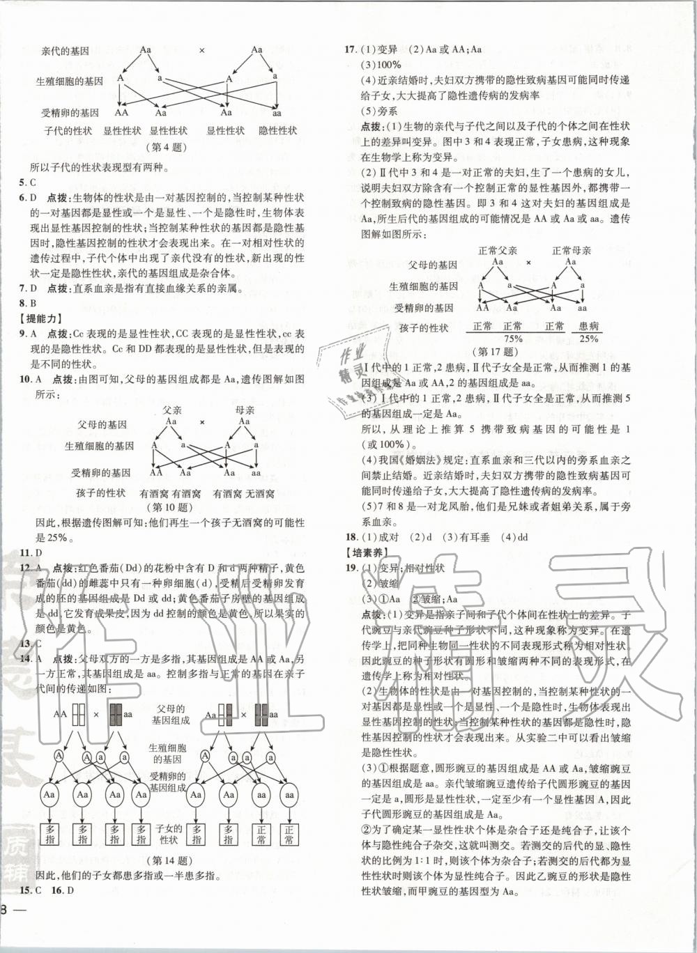 2020年點(diǎn)撥訓(xùn)練八年級(jí)生物下冊(cè)人教版 第5頁(yè)