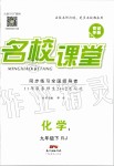 2020年名校課堂九年級化學(xué)下冊人教版