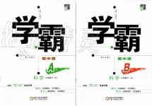 2020年經(jīng)綸學(xué)典學(xué)霸題中題八年級科學(xué)下冊浙教版