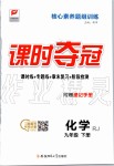 2020年課時奪冠九年級化學(xué)下冊人教版