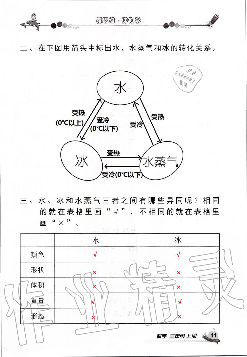 2019年新思維伴你學三年級科學上冊教科版 第11頁