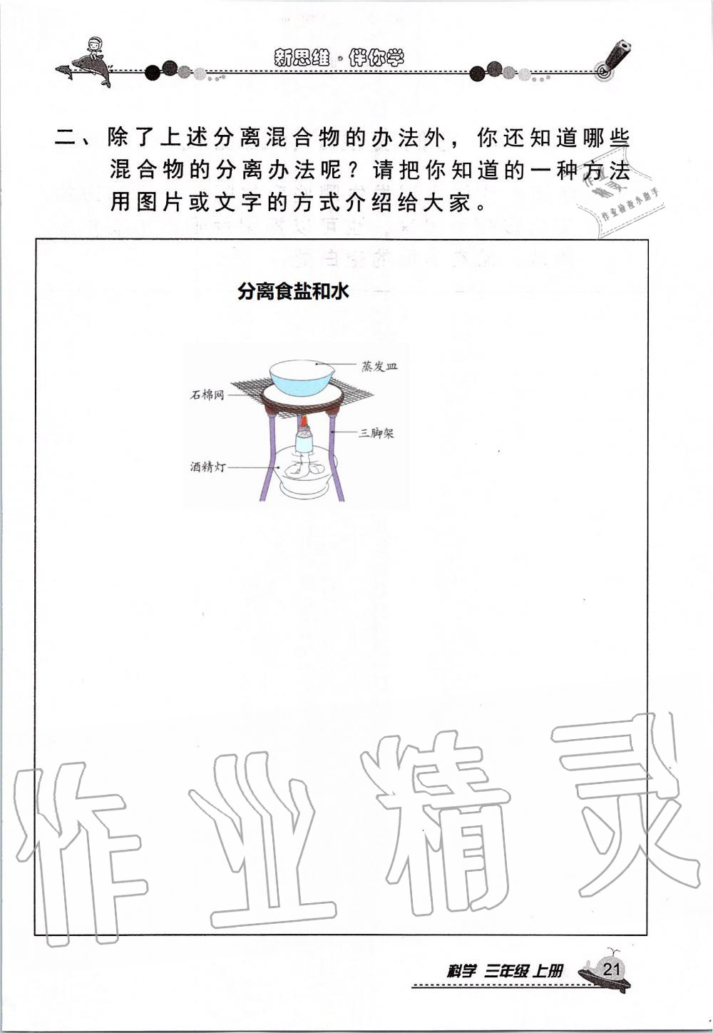 2019年新思維伴你學(xué)三年級科學(xué)上冊教科版 第21頁