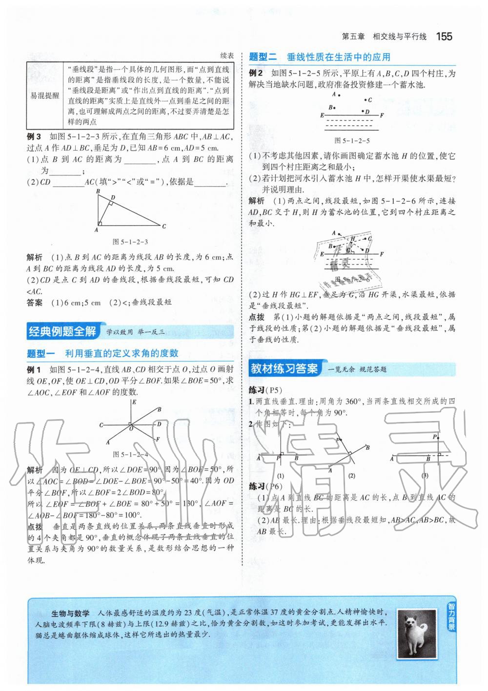 2020年課本七年級(jí)數(shù)學(xué)下冊(cè)人教版 第5頁(yè)