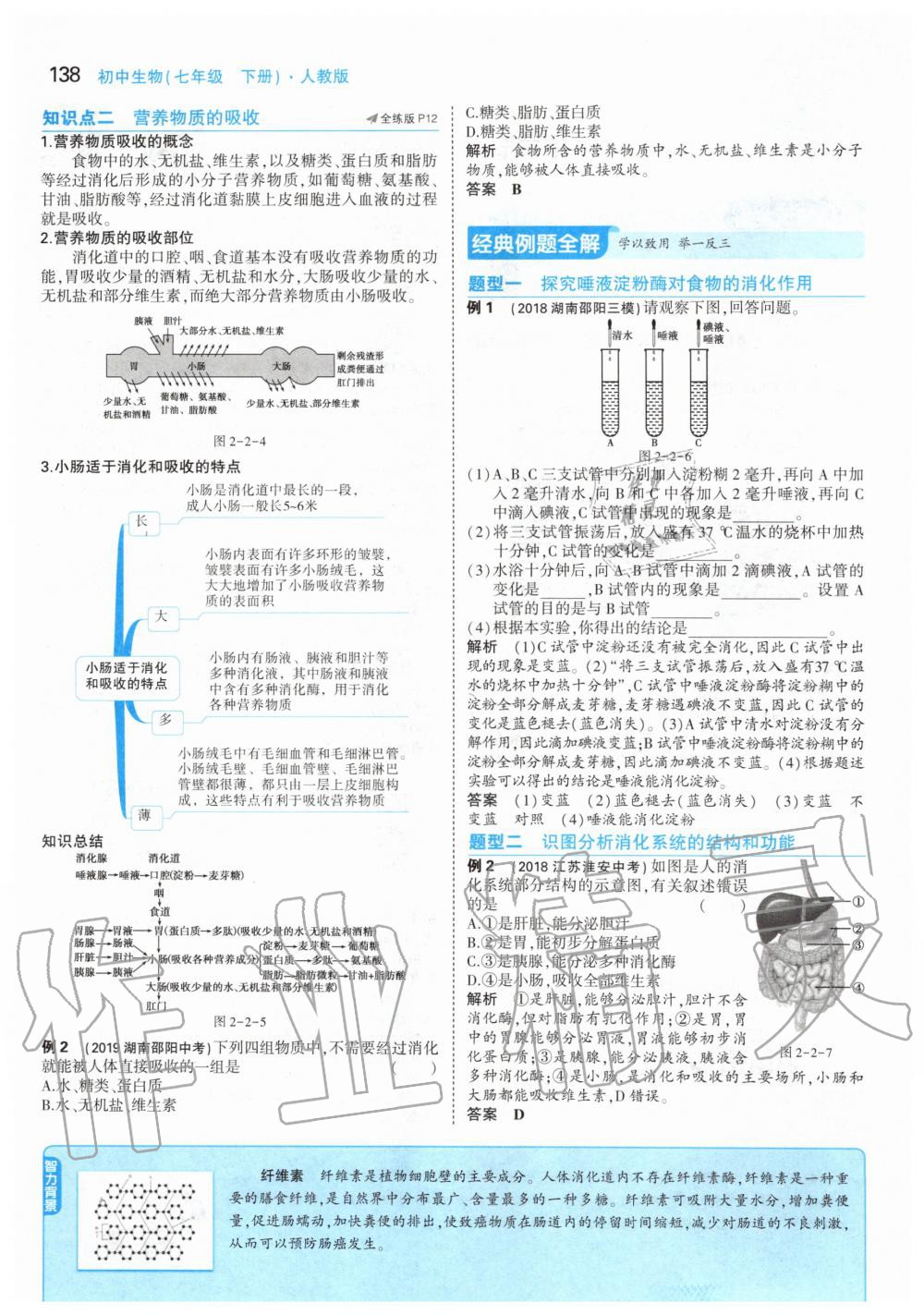 2020年課本七年級生物學(xué)下冊人教版 第12頁