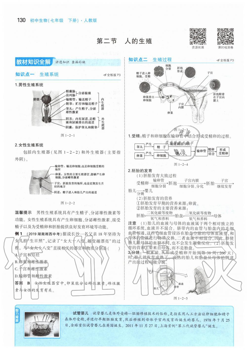 2020年課本七年級生物學(xué)下冊人教版 第4頁