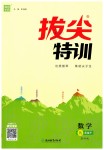 2020年拔尖特訓(xùn)九年級數(shù)學(xué)下冊蘇科版