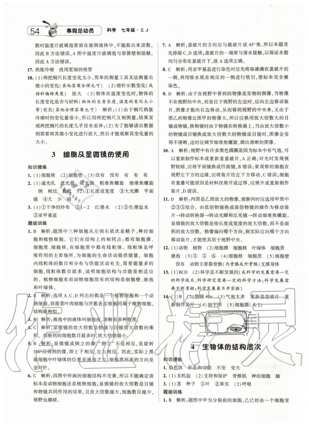 2020年經(jīng)綸學(xué)典寒假總動(dòng)員七年級(jí)科學(xué)浙教版 第3頁(yè)