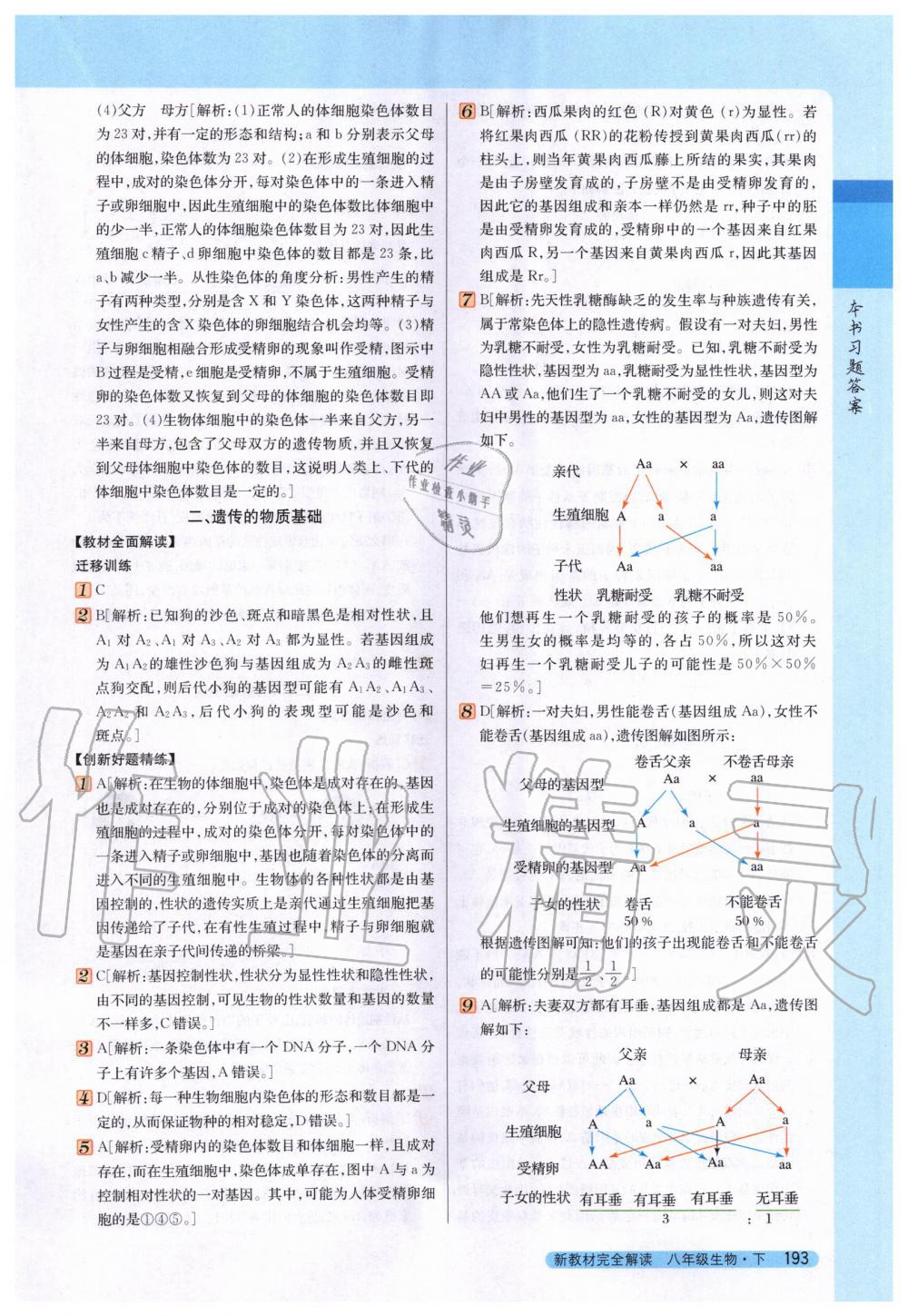 2020年新教材完全解讀八年級生物下冊冀少版 第7頁