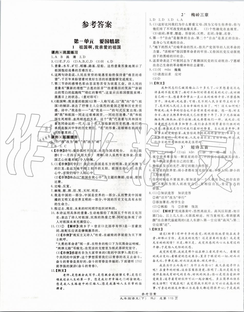 2020年高效课时通10分钟掌控课堂九年级语文下册人教版 第1页