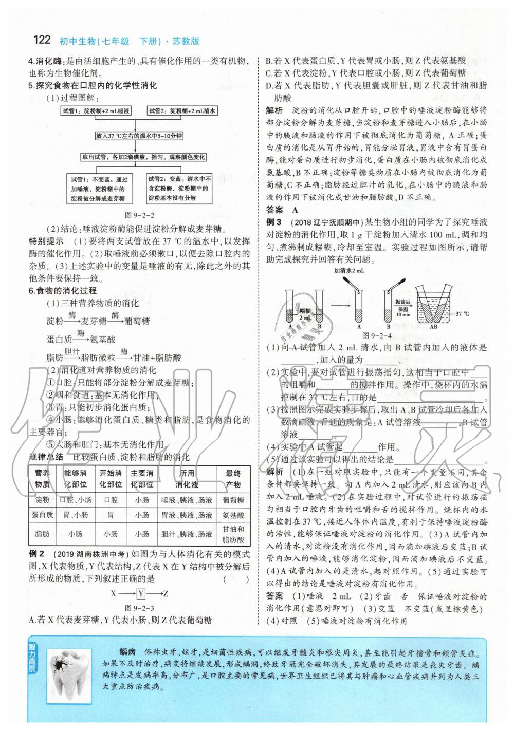 2020年課本七年級(jí)生物學(xué)下冊(cè)蘇教版 第12頁(yè)