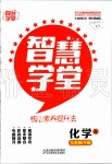 2020年智慧學(xué)堂九年級(jí)化學(xué)下冊(cè)人教版天津科學(xué)技術(shù)出版社