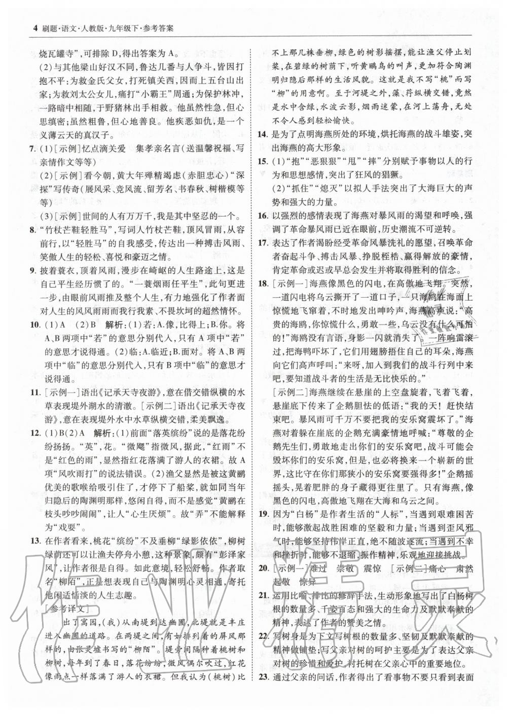 2020年北大綠卡刷題九年級(jí)語(yǔ)文下冊(cè)人教版 第4頁(yè)