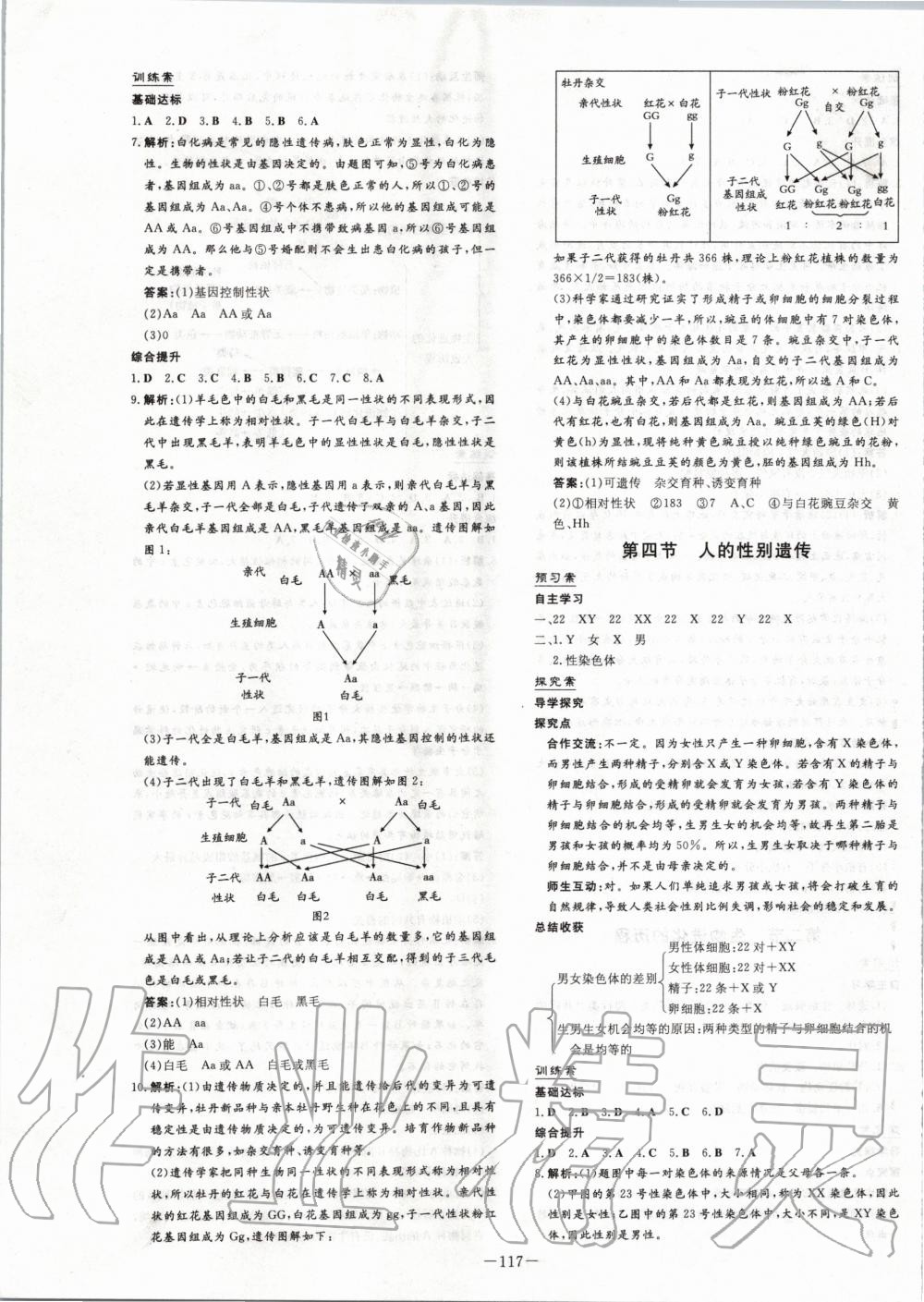 2020年初中同步学习导与练导学探究案八年级生物下册人教版 第5页