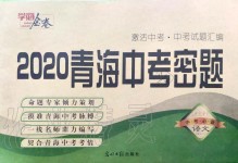 2020年學海金卷激活中考中考試題匯編青海中考秘題語文