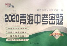 2020年學海金卷激活中考中考試題匯編青海中考密題化學