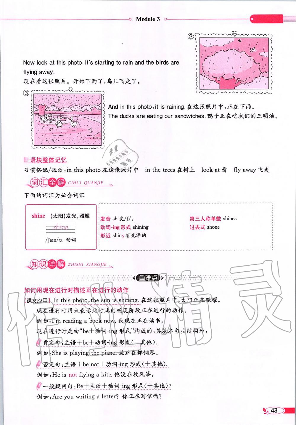 2020年课本六年级英语下册外研版一起&nbsp;第43页