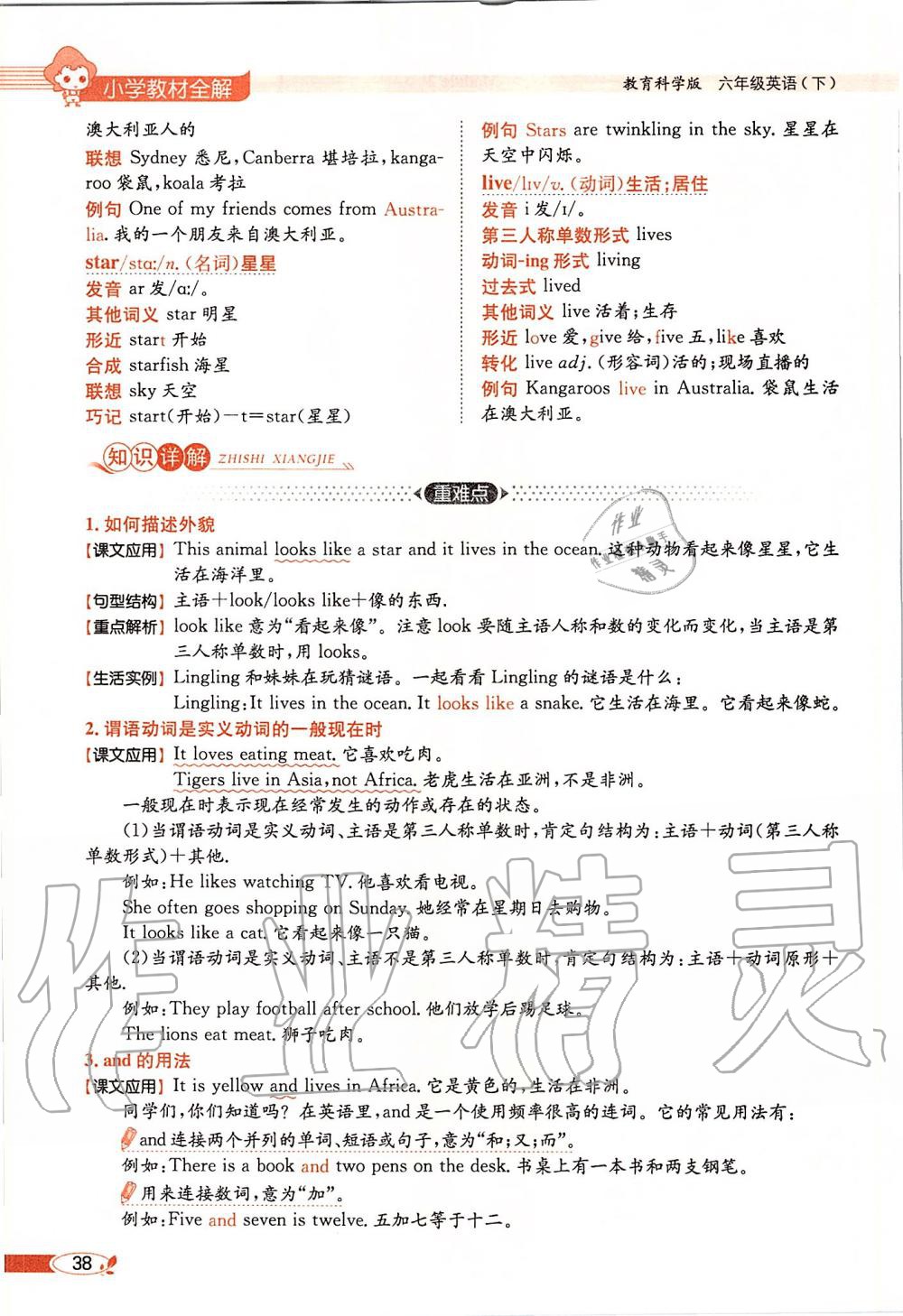 2020年课本六年级英语下册教科版三起&nbsp;第38页