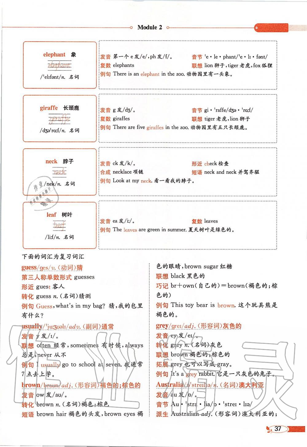 2020年课本六年级英语下册教科版三起&nbsp;第37页