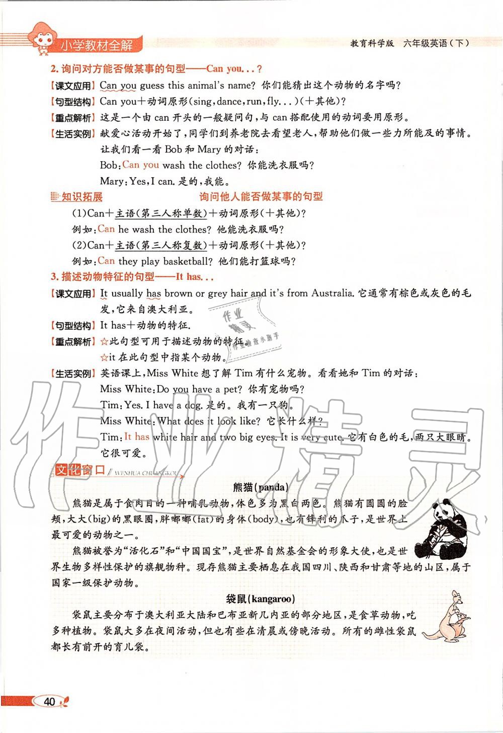 2020年课本六年级英语下册教科版三起&nbsp;第40页