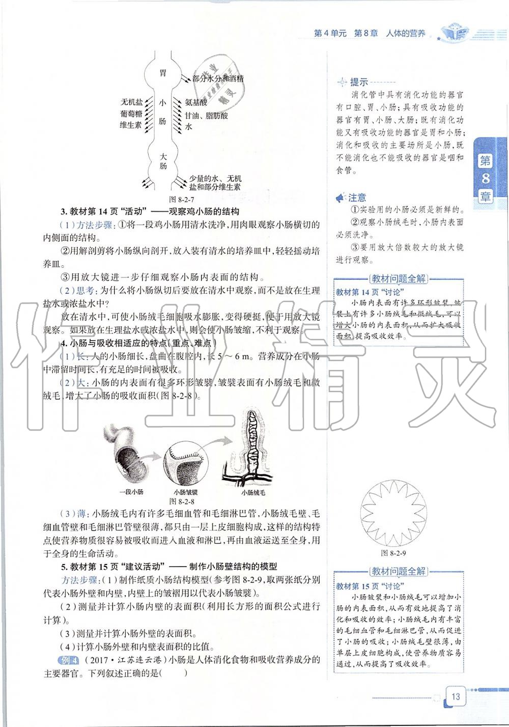 2020年課本七年級生物學下冊北師大版 第13頁