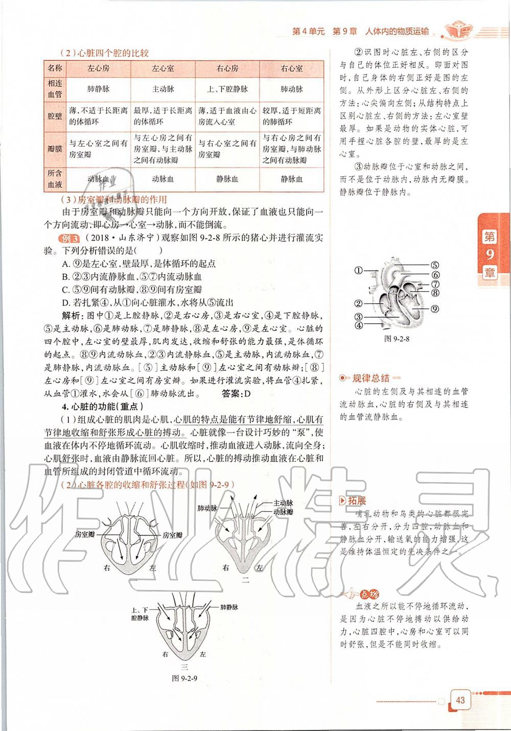 2020年課本七年級生物學(xué)下冊北師大版 第43頁