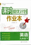 2020年課時提優(yōu)計劃作業(yè)本九年級英語下冊譯林版