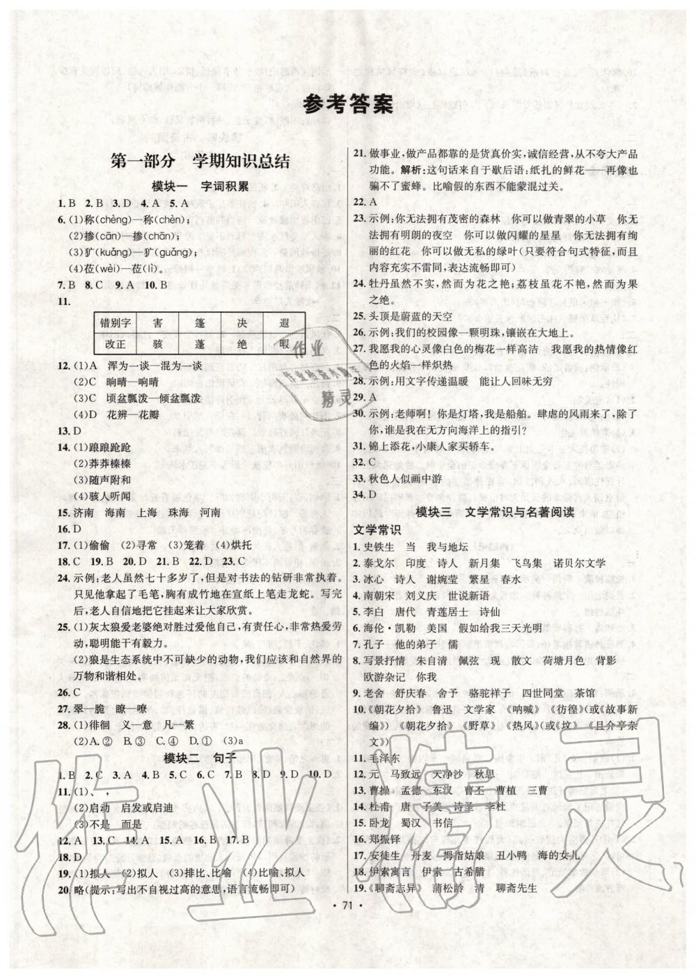 2020年七彩假期学期总复习七年级语文人教版 第1页