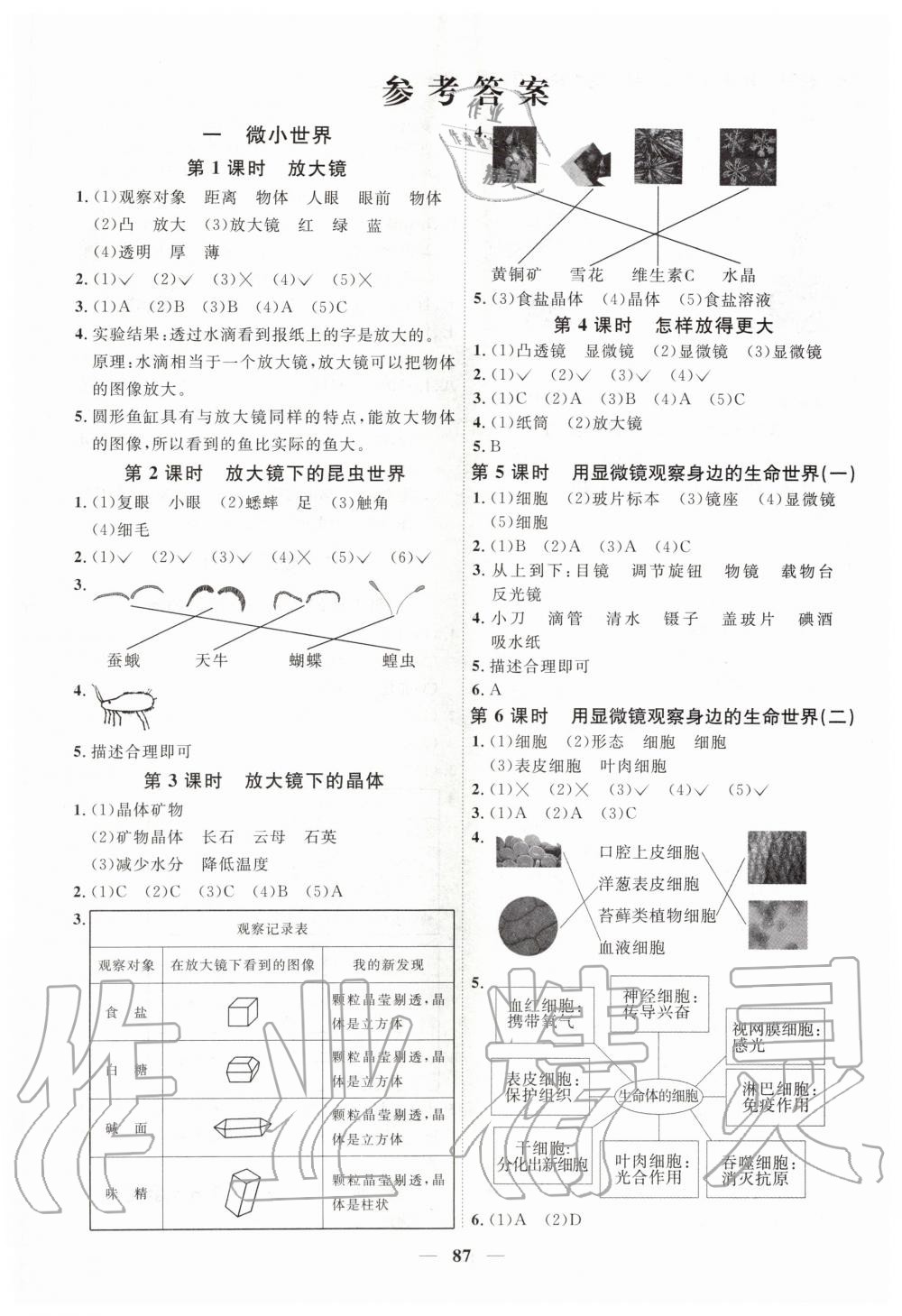 2020年阳光同学课时优化作业六年级科学下册教科版 第1页