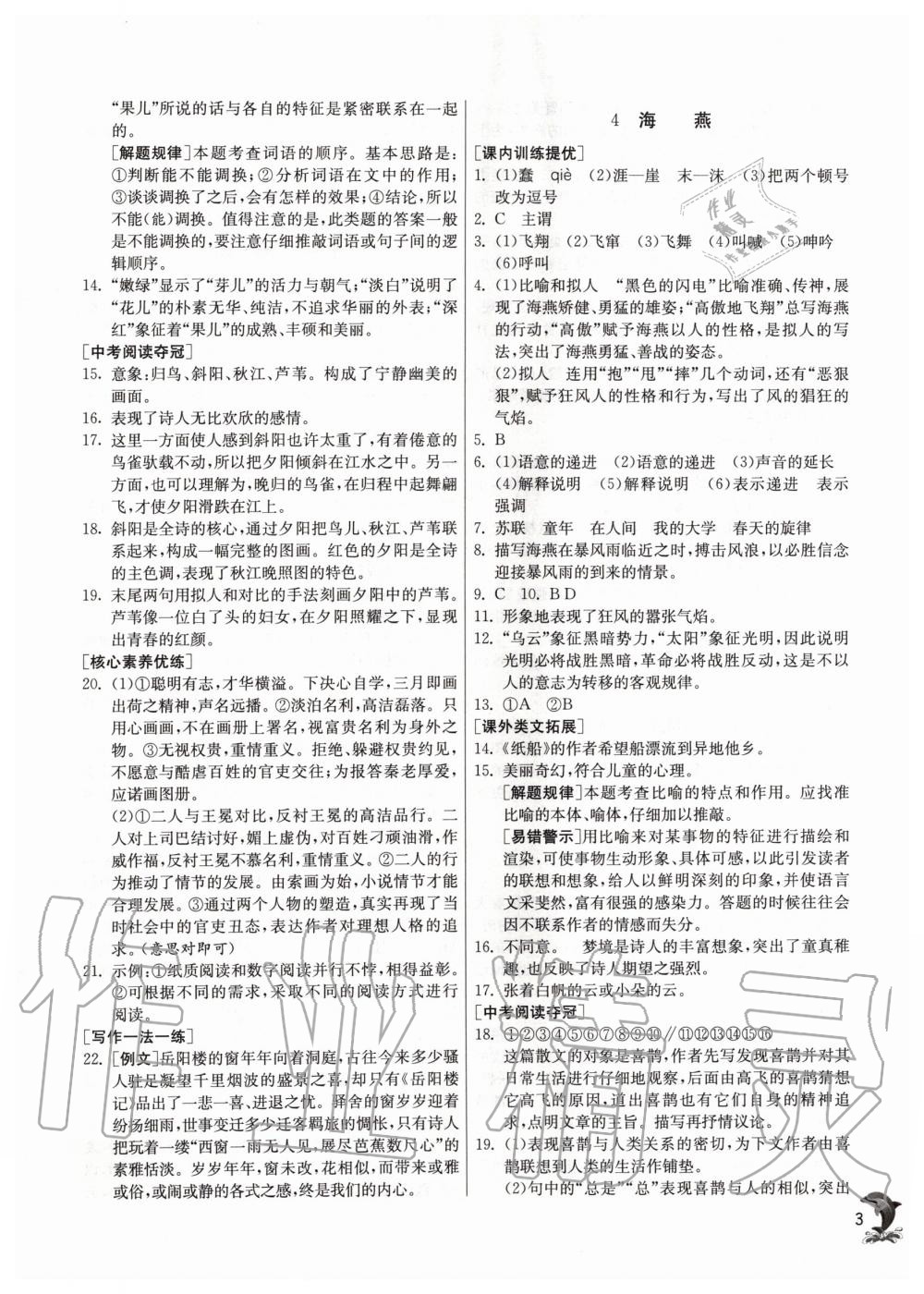 2020年實驗班提優(yōu)訓(xùn)練九年級語文下冊人教版 第3頁