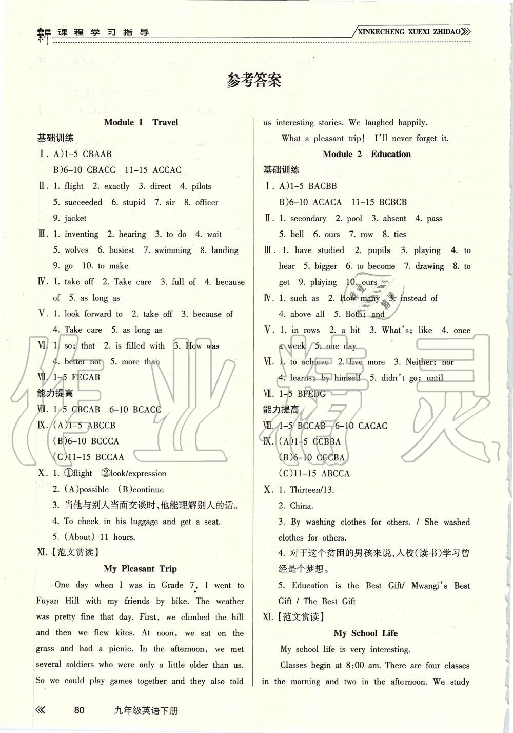 2019年新課程學(xué)習(xí)指導(dǎo)九年級(jí)英語下冊(cè)外研版南方出版社 第1頁