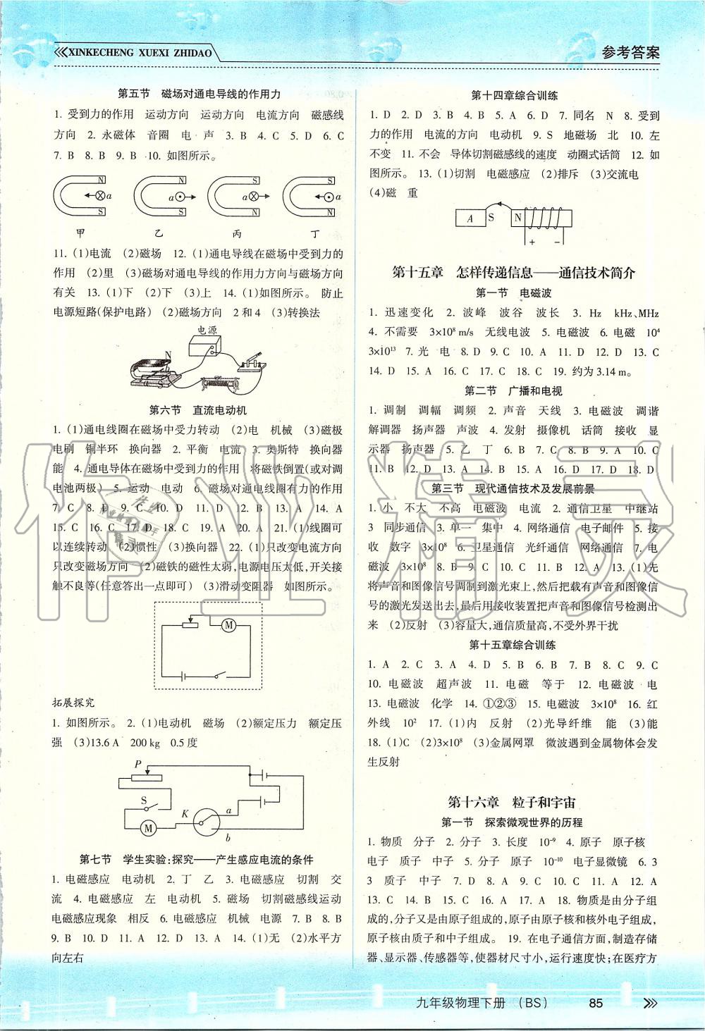 2019年新課程學(xué)習指導(dǎo)九年級物理下冊北師大版 第2頁