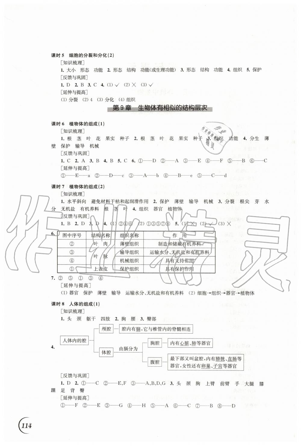 2020年同步练习七年级生物学下册苏科版江苏凤凰科学技术出版社 第2页