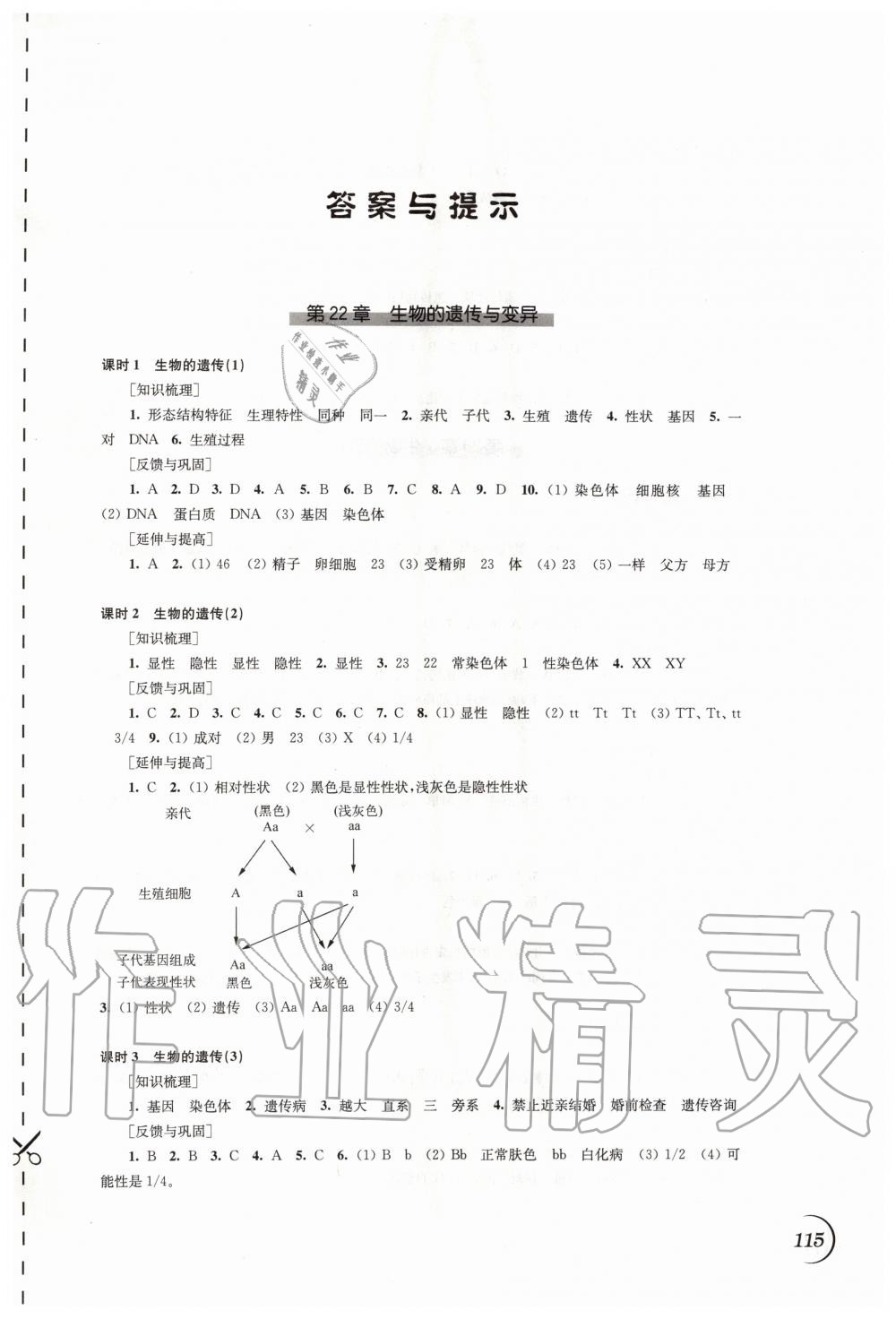 2020年同步练习八年级生物学下册苏科版江苏凤凰科学技术出版社 第1页